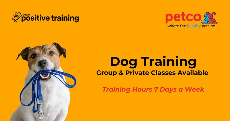 Is Petco Dog Training Good: Honest Review & Top Benefits Revealed